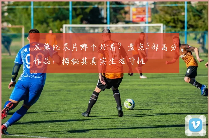 灰熊纪录片哪个好看？盘点5部高分作品，揭秘其真实生活习性
