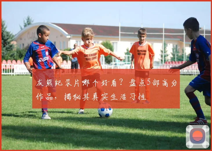 灰熊纪录片哪个好看？盘点5部高分作品，揭秘其真实生活习性